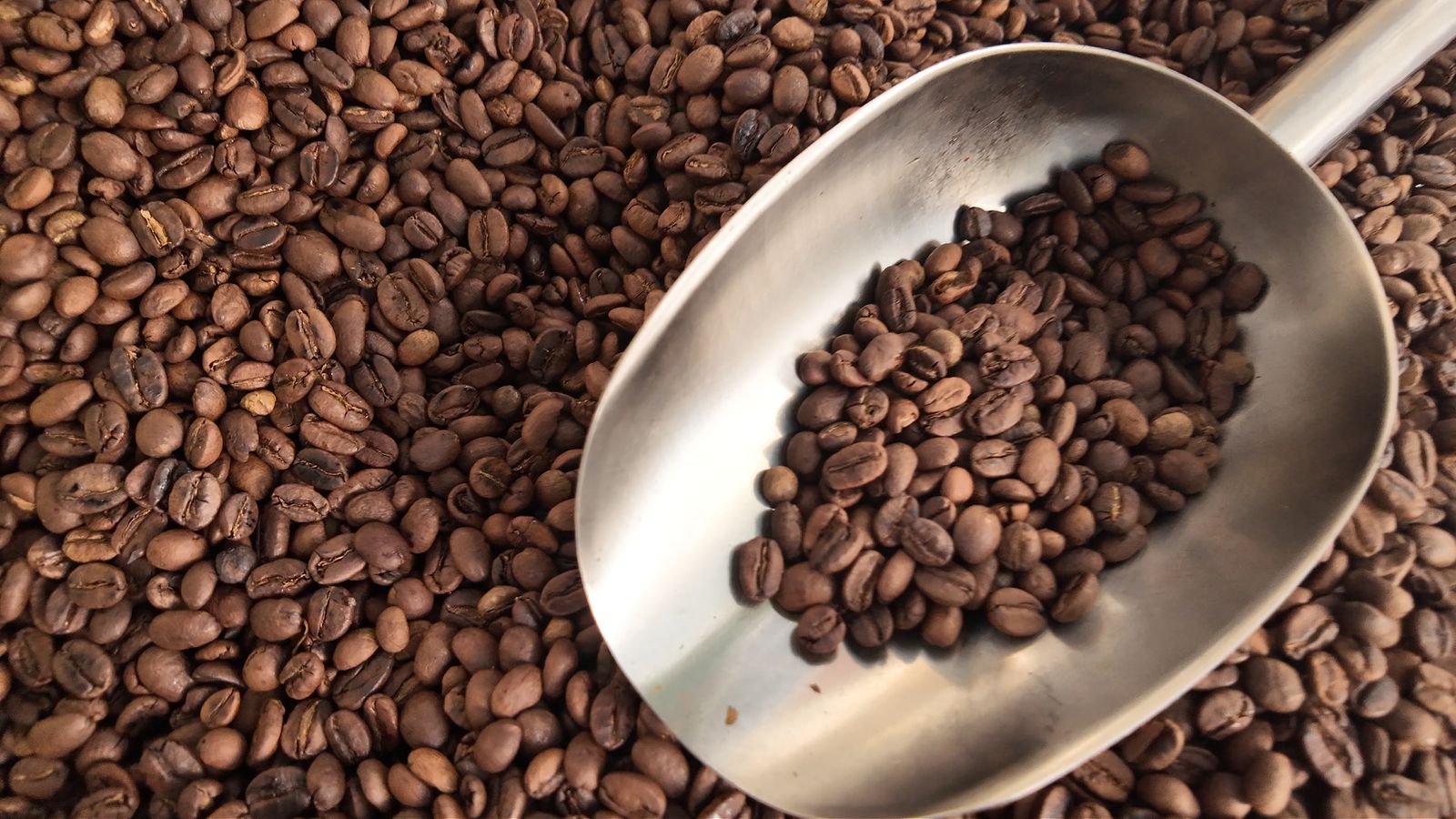 Coffee tour with employees hand-roasting beans