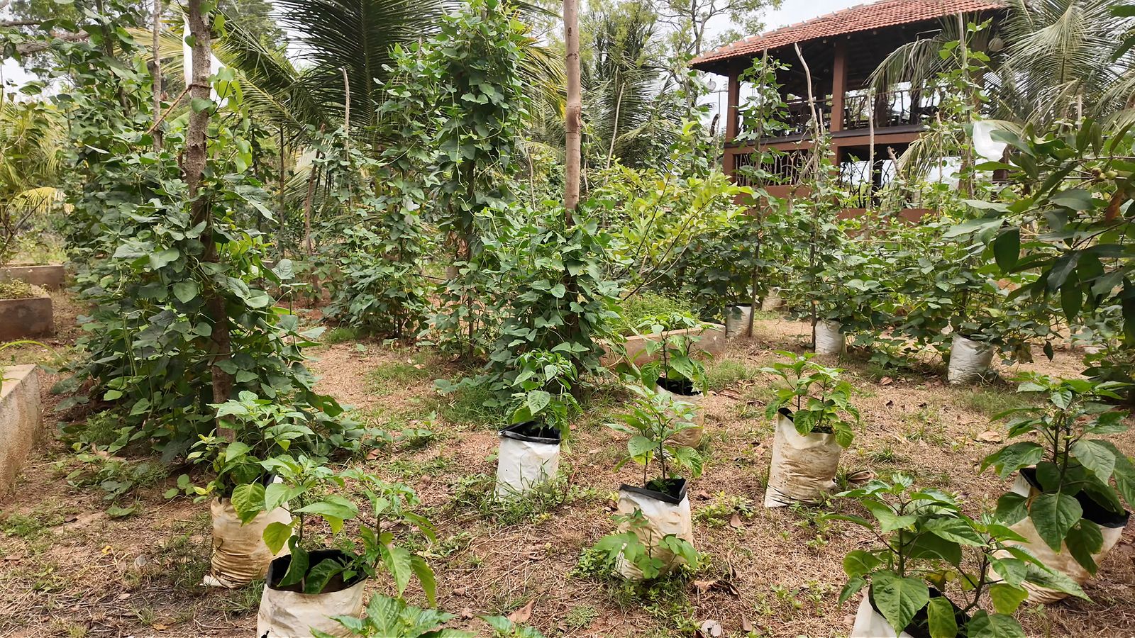 Go Yala Farm near a lake in Yala