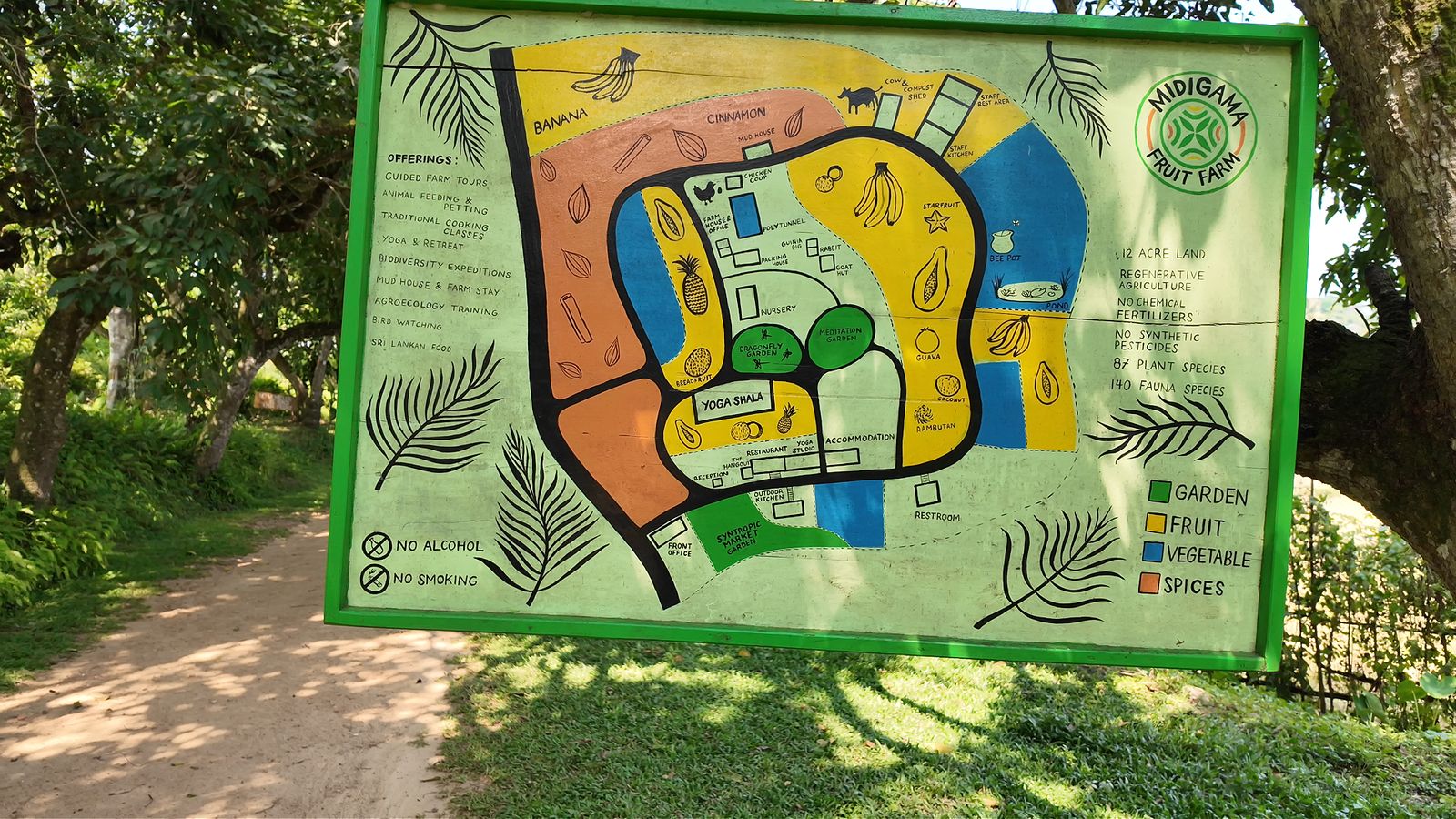 Midigama Fruit Farm regenerative planting