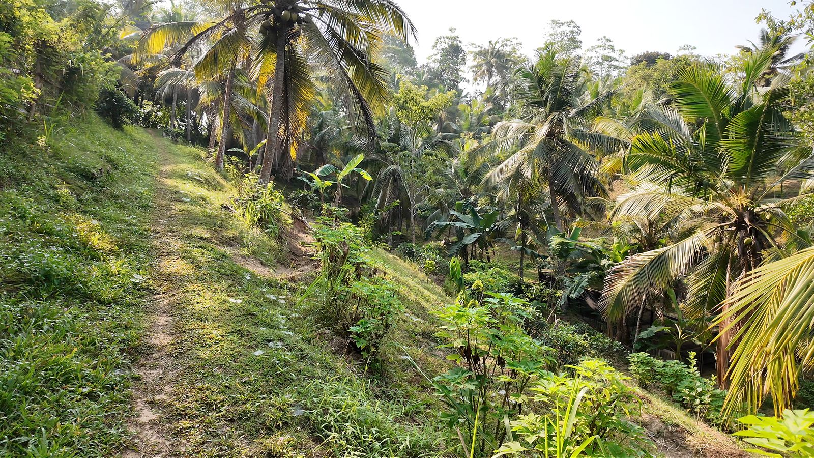 Diverse gardens at Tekanda Lodge