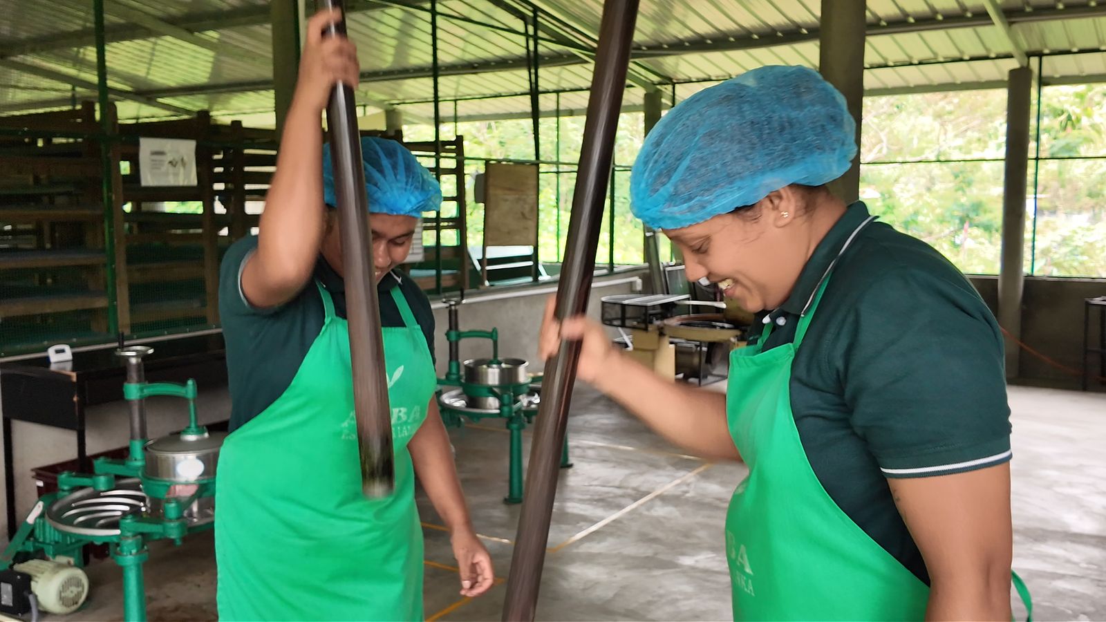 Two employees pounding tea in a vangedi mortar at AMBA Estate