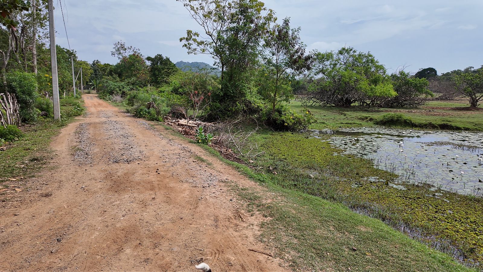 The road Sahan built to the entrance of Go Yala Farm