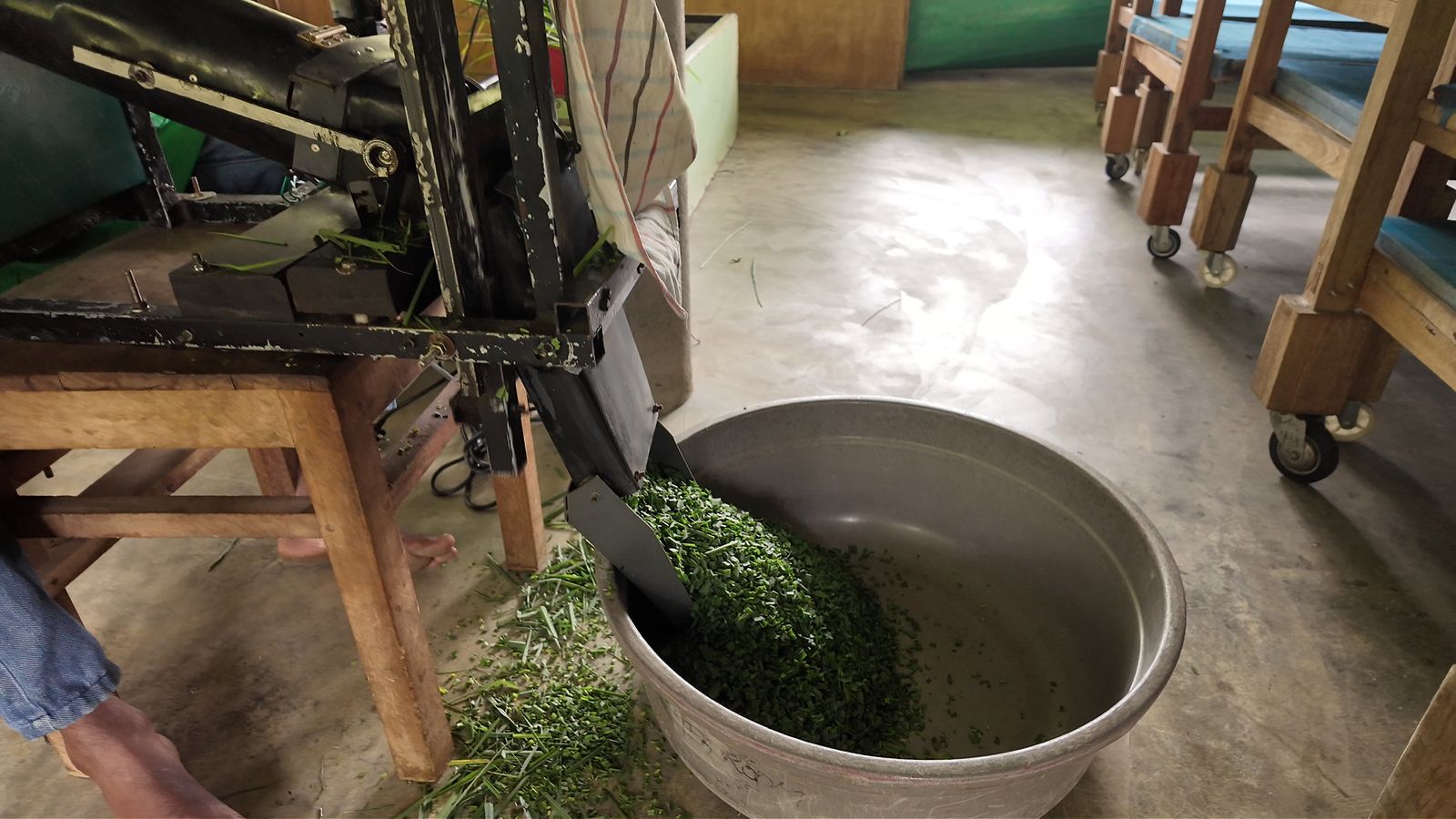 The lemongrass chopper built by Ashok at AMBA Estate
