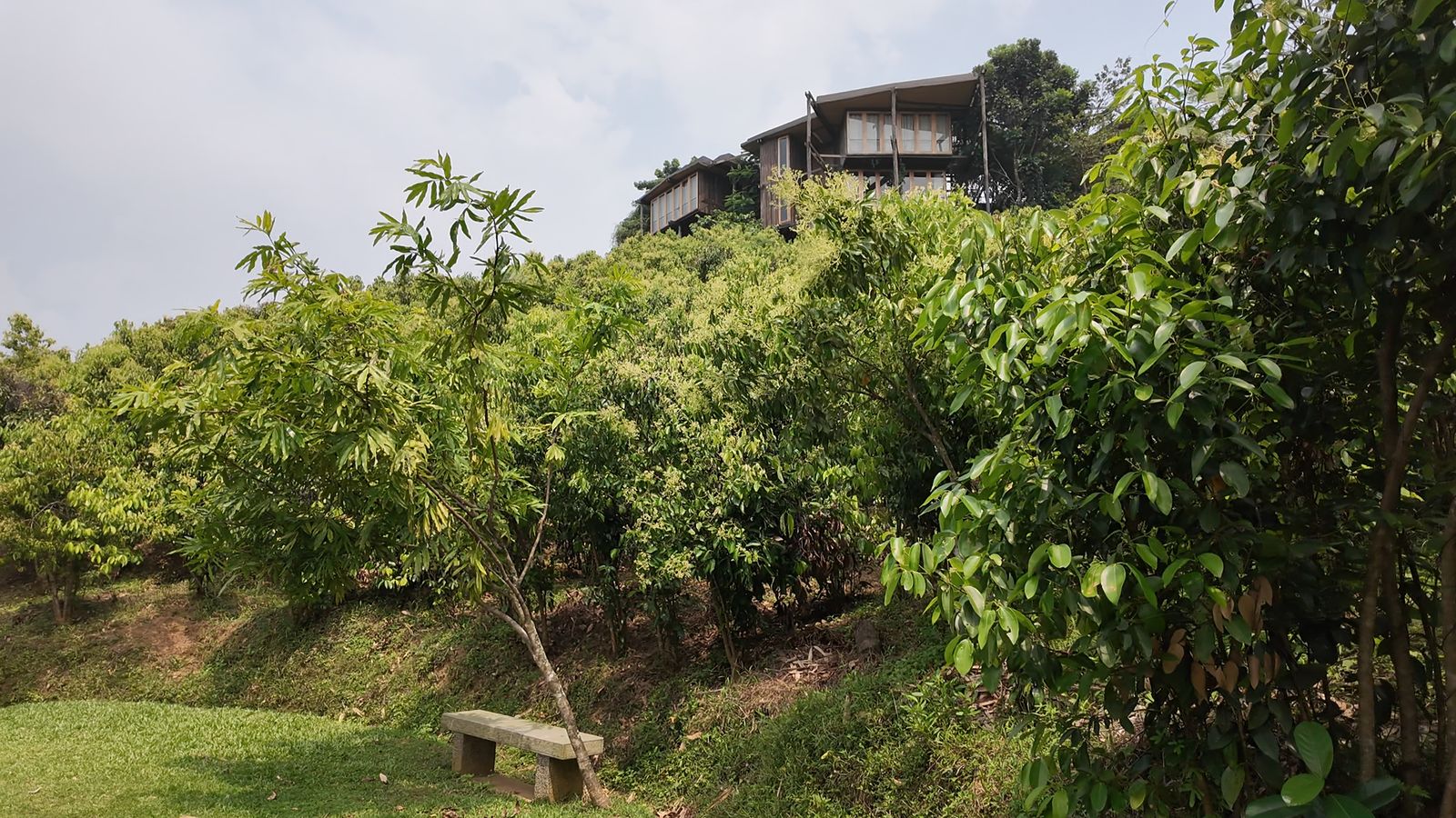 The Round House at Trebartha East above its cinnamon plantation