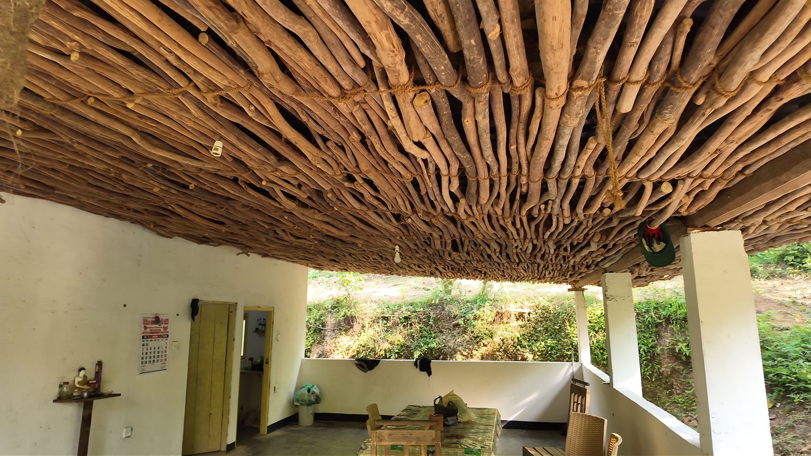 Gliricidia shelter plant used as a natural fence at Tekanda Lodge